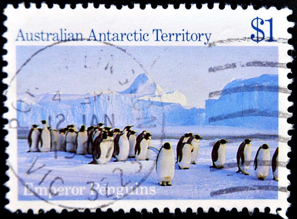 Australian Antarctic Territory rare stamps for philatelists ~ MegaMinistore